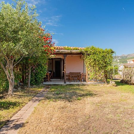 Appartamento Trilocale Le Canne 4 Posti Letto Con Giardino E Posto Auto Privato San Teodoro  Exterior foto